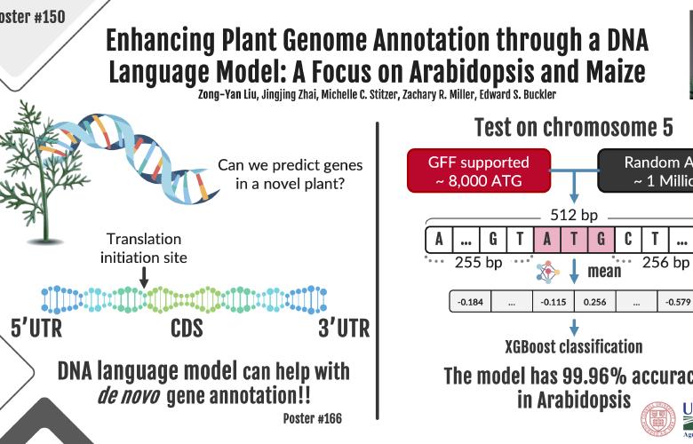 Gene Annotation