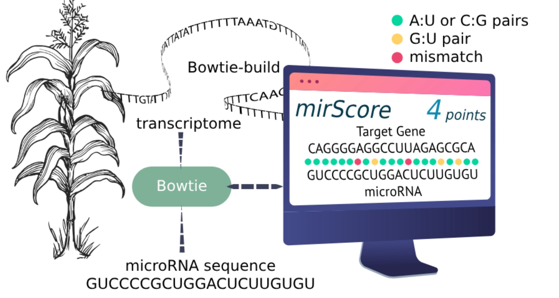 Identifying Targets of MicroRNA by Deep Learning