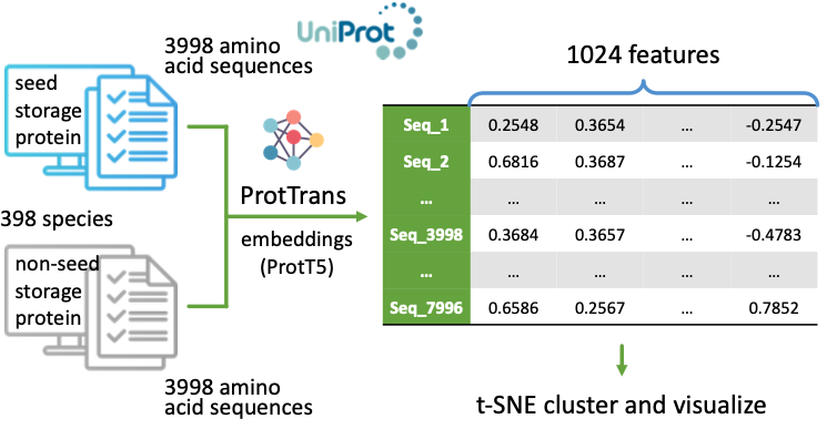 Identify Storage Proteins