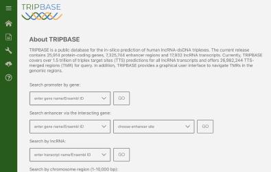 Database for Identifying the Humangenomic DNA and lncRNA triplexes image