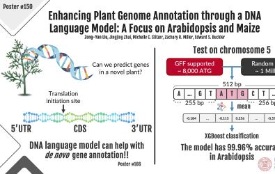 Cross Species Gene Annotation image