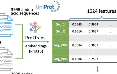 Identification of Seed Storage Proteins Across Andropogoneae image